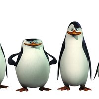 Penguins Of Madagascar The four Penguins Of Madagascar lined up in a row.