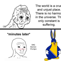 The World is a Cruel and Unjust Place meme example depicting Wojak reacting to bosnian chungus.