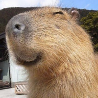 Capybaras An image of a smiling Capybara.