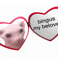 My Beloved locket heart meme opening to show the cat Bingus and the message "bingus my beloved."