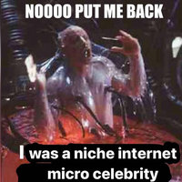 Niche Internet Micro Celebrity