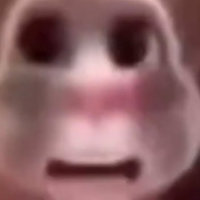 Boy What The Hell Boy meme depicting the Talking Tom app.