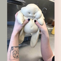 Plimbo "Plimbo" original image with gradient background.