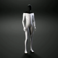 Tesla Bot meme depicting the Tesla Bot from Telsa's live event.