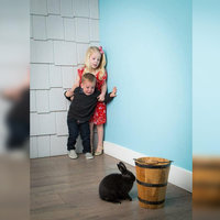 Kids Scared of Rabbit