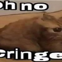 Oh No, Cringe Oh No, Cringe meme format depicting the Oh No Cringe Cat manipulated via photoshop.