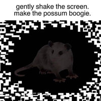 Gently Shake The Screen. Make The Possum Boogie. meme format depicting an optical illusion with a shrouded possum in the middle that appears to move when the screen shakes.