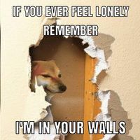 I Am Living in Your Walls I Am Living in Your Walls