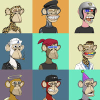 Bored Ape Yacht Club A grid of Bored Ape Yacht Club NFTs.