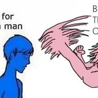 Block This Overhead meme format and example depicting a pink woman dropkicking a blue man with the caption "Sorry for being a man, block this overhead."