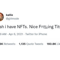 NFT Stands For... NFT Stands For meme example depicting NFTs standing for Nice F***ing Tits.