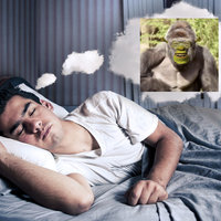 Memes From Dreams / This Meme Came To Me In A Dream A visualization of someone dreaming about a meme.