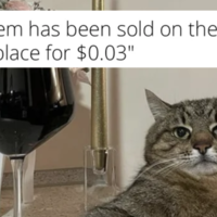 Your Item Has Been Sold On Steam Marketplace Your Item Has Been Sold On Steam Marketplace meme example depicting a cat sitting down next to a glass of wine.