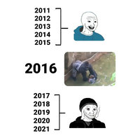 Before 2016 vs. After 2016