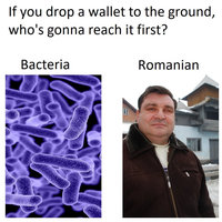 Romanians Stealing Wallets meme example depicting an image of bacteria and a Romanian man.