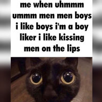 I'm a Boy Liker, I Like Kissing Men on the Lips I'm a Boy Liker I Like Kissing Men on the Lips meme format and example depicting a cat staring into the camera.