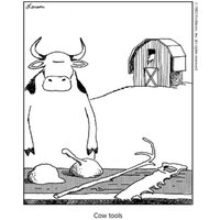 Cow Tools