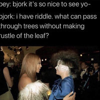 Björk's Riddle meme template and format depicting an example with the first riddle Björk gives Beyonce.