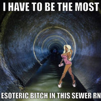 I Have To Be The Most Esoteric Bitch In This Sewer RN meme