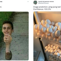 Neural Net Guesses Images