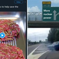 I Will Not Eat the Bugs I Will Not Eat The Bugs memes depicting a tweet about eating insects and an Eat the Bugs or nuclear power meme.