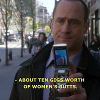 About 10 Gigs Worth About 10 Gigs Worth Of Women's Butts Law & Order Meme depicting Christopher Meloni's character Elliot Stabler holding up a phone with a woman's butt on it.