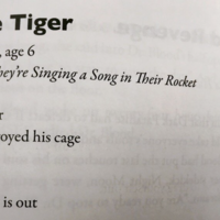 The Tiger By Nael Age 6 meme depicting a poem written by a child that became a copypasta.