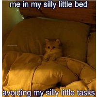 Me In My Silly Little Bed meme format and example depicting a kitten / cat sitting in bed with the covers pulled over its body.