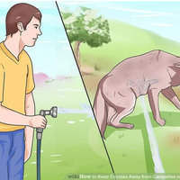 Wikihow Dog Sprayed By Hose