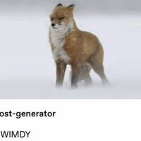 It Fucken Wimdy It Fucken Wimdy meme.