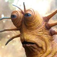 Klaud / Live Slug Reaction Klaud Star Wars character closeup image.