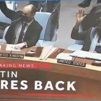 America's Alien UN Rep