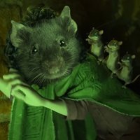 We Don't Talk About Bruno's Rats meme depicting an image of bruno from encanto with a rat photoshopped on his head.