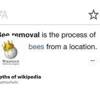 Depths of Wikipedia