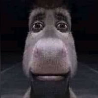 Staring Donkey meme format and template depicting donkey from shrek staring blankly into the camera.