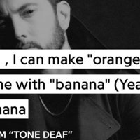 Bornana meme depicting the lyric from eminem's song tone deaf.