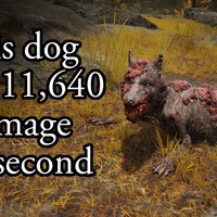 This Dog Does 11,640 Damage per Second meme depicting a mangy-looking dog laying in grass from the game Elden Ring.