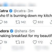 Who TF Is Burning Down My Kitchen Who tf Is Burning Down My Kitchen meme example depicted in a tweet.