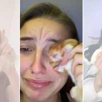 Girl Wipes Tears With A Hamster tiktok video, Girl Wiping Her Tears With A Hamster meme.