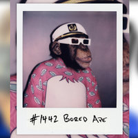 Logan Paul's "99 Originals" NFT Collection Logan Paul 99 Originals NFT Collection #1442 bored ape polaroid example image.