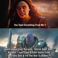You Took Everything From Me meme depicting marvel avengers characters scarlet witch and Thanos from end game.