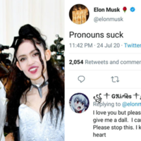 grimes elon give me a dall