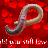 Would You Still Love Me If I Was A Worm? Would You Still Love Me If I Was A Worm meme.