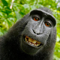 Monki (Doesn't Wear Any Pants) Sposato