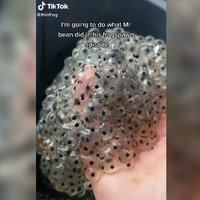 Frog Army / Thinfrog tiktok account depicting a man holding a swarm of frog eggs.