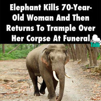 Elephant tramples woman's corpse at funeral in India after killing her.