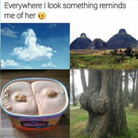 Everything Reminds Me Of Her / Him meme example depicting images of sexual-looking nature and food.