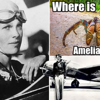 Amelia Earhart Eaten By Coconut Crabs