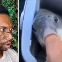 Down Bad Man Down bad man depicting an image of MikeCakez staring at a fish sucking on someone's finger.