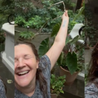 Drew barrymore rain viral video.